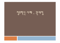 [정부개혁론] 정부혁신 사례 연구(관세청 사례를 중심으로)-1