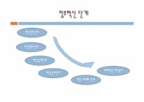 [정부개혁론] 정부혁신 사례 연구(관세청 사례를 중심으로)-5