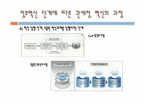 [정부개혁론] 정부혁신 사례 연구(관세청 사례를 중심으로)-16