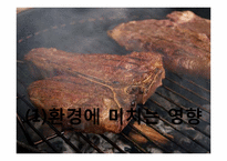 채식주의와 패스트푸드-17