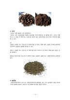 [캡스톤설계] 캡스톤포폴이론(악취의 이해 및 생물학적 탈취방법과 탈취필터의 종류 및 시장조사)-15