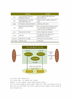 [정보시스템기초] 경영과 회계-2