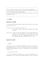 [컨벤션경영]KICA 헤어아이롱 세계 시장에서의 성공과 문제점 및 발전과제-9