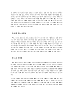 [컨벤션경영]KICA 헤어아이롱 세계 시장에서의 성공과 문제점 및 발전과제-12