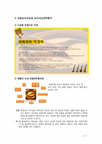 [국제마케팅]막걸리 일본시장 진출 전략-11