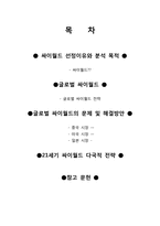 [다국적기업]싸이월드의 다국적 기업화-2