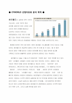[다국적기업]싸이월드의 다국적 기업화-3