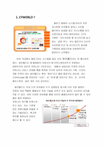 [다국적기업]싸이월드의 다국적 기업화-4