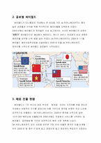 [다국적기업]싸이월드의 다국적 기업화-5