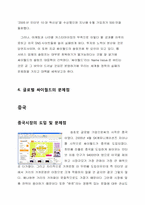 [다국적기업]싸이월드의 다국적 기업화-6
