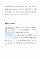 [다국적기업]싸이월드의 다국적 기업화-8