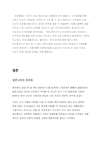 [다국적기업]싸이월드의 다국적 기업화-12