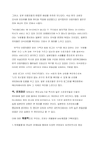[다국적기업]싸이월드의 다국적 기업화-13