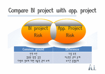 [경영학]BI(Business Intelligence)시스템의 위험요소와 성공적인 구축전략(영문)-10