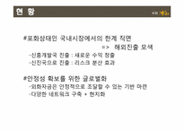 [금융기관론]국민은행 해외진출사례-6