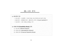 사업타당성 분석(Feasibility Study)의 이론과 사례-11