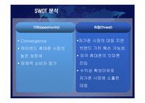 [마케팅]삼성전자 국내 휴대폰 시장(스마트폰) 경쟁전략-17