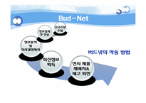 [경영정보]버드넷(Bud-Net)SCM사례 연구-9