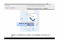 [마케팅]815콜라의 마케팅 실패사례 분석 및 전략방안-11