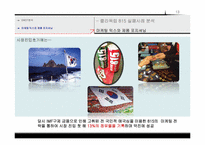 [마케팅]815콜라의 마케팅 실패사례 분석 및 전략방안-13