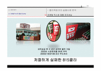 [마케팅]815콜라의 마케팅 실패사례 분석 및 전략방안-14