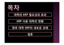 [경영학]대학의 성공적인 ERP구축을 위한 요건-2