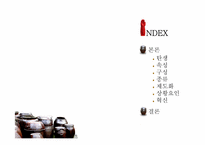 조직을 표현한 창의적 이미지(조직과 김치)-4