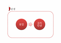 조직을 표현한 창의적 이미지(조직과 김치)-6