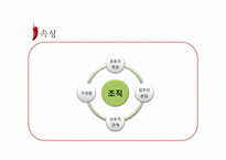 조직을 표현한 창의적 이미지(조직과 김치)-7