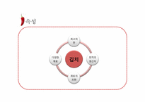 조직을 표현한 창의적 이미지(조직과 김치)-8