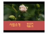 [국제마케팅]국내 플라워샵 사업계획서 및 해외(태국)시장 진출 전략-8