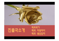 [국제마케팅]국내 플라워샵 사업계획서 및 해외(태국)시장 진출 전략-13