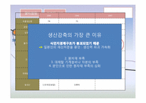 [한국정부론]대한민국의 시작-제1공화국-4
