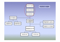 [한국정부론]대한민국의 시작-제1공화국-7