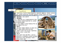 [관광학]부산국제영화제 발전 방향에 대한 제언(깐느영화제와 비교)-19