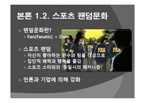 [스포츠사회학]우리나라 스포츠의 상업주의에 대한 분석 및 비판-17