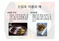 [식품학]한국의 전통색을 내는 천연 색소 물질-8