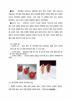 [식품학]한국 전통색 및 천연색소원료-8