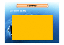 [생물화학공학]미생물을 이용한 라이신 생산-4