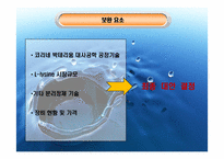 [생물화학공학]미생물을 이용한 라이신 생산-8