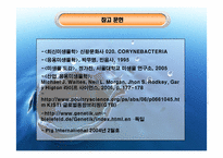 [생물화학공학]미생물을 이용한 라이신 생산-9