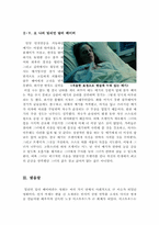 밀리언 달러 베이비 영화 감상문-6