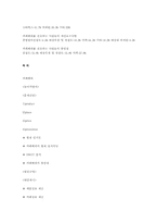카페베네 서비스 향상방안-18