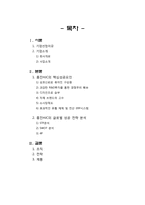 [국제경영] 홍진HJC 글로벌 전략-2