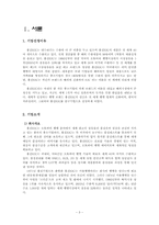 [국제경영] 홍진HJC 글로벌 전략-3