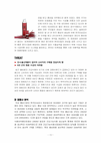 정관장 마케팅전략-13