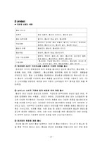 정관장 마케팅전략-20