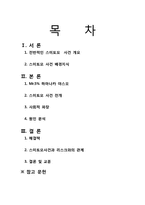 [위험관리론] 스미토모상사 사례-2