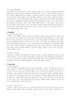 [마케팅] 신제품 샤넬 Launch 마케팅계획-4