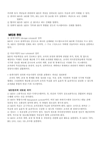 경영정보시스템의 발전과정, 성공사례-4